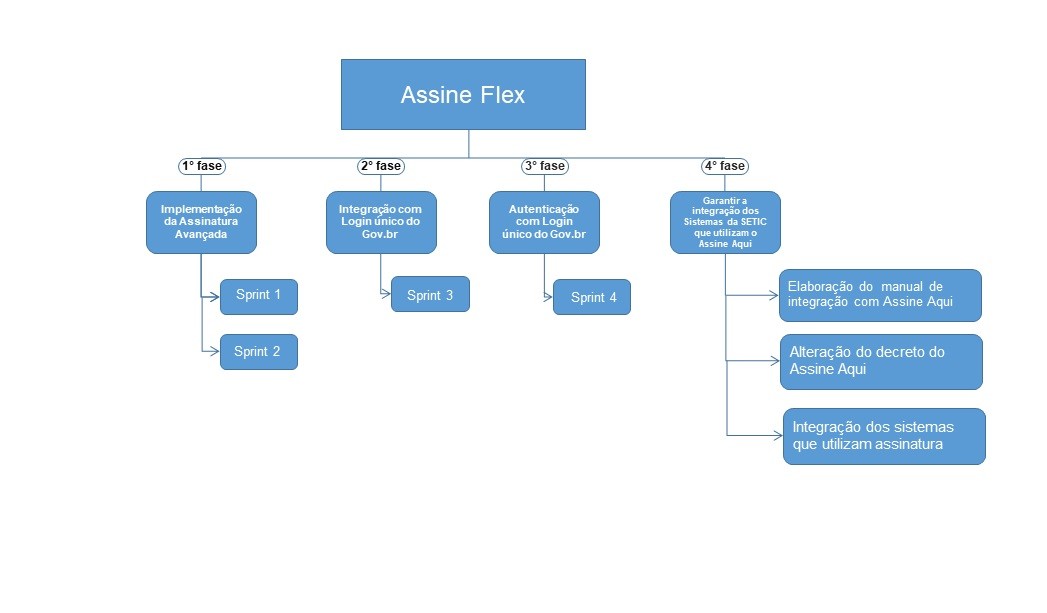 Assine Flex.jpg